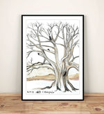 Sketch With Ink From A Tree