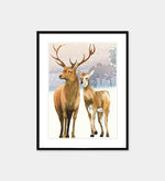 Aesthetic Premium Wall Decor Paintings