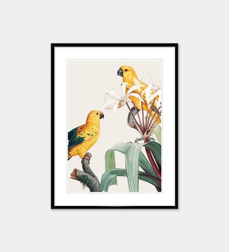 Red Parrot Painting Eealistic Watercolor